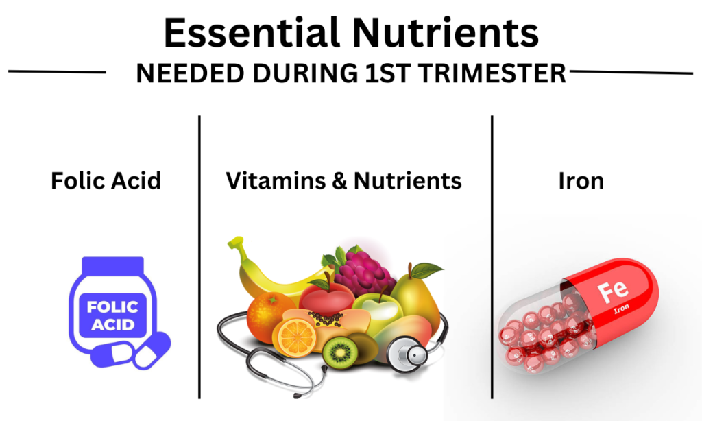 First Trimester ESSENTIAL NUTRIENTS