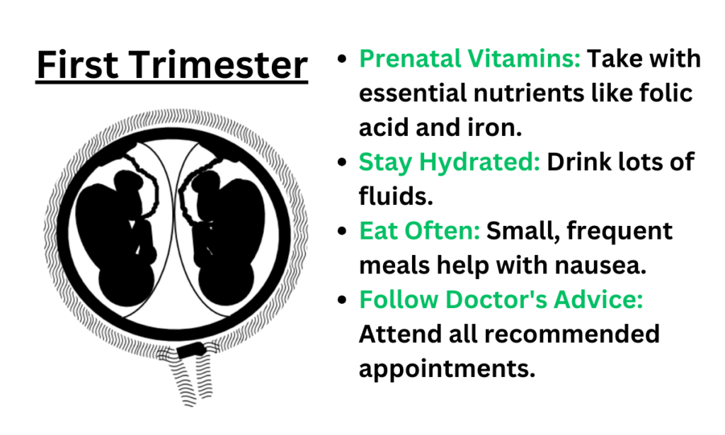 First Trimester with Twins